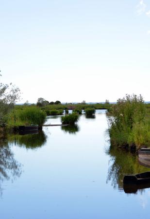 Marais de Brière